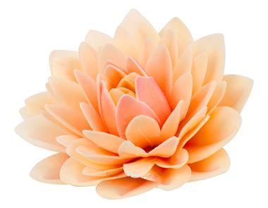 Dalia 125 pudrowy - Daisy Decor
